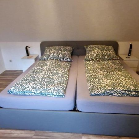 Manu'S Appartements 戈斯拉尔 外观 照片