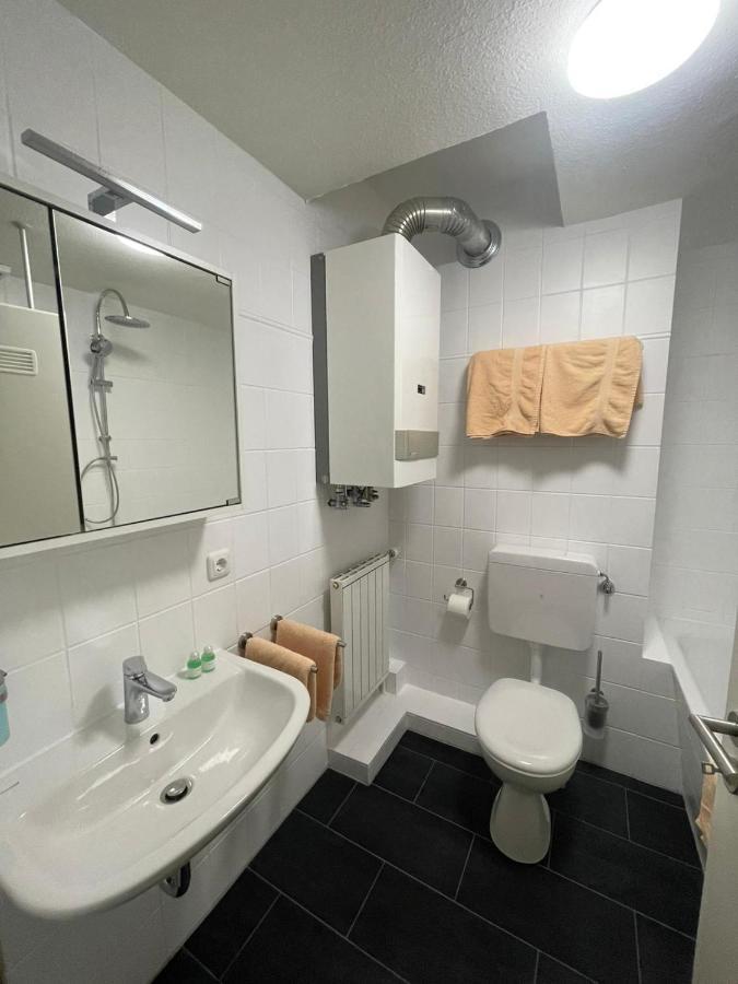 Manu'S Appartements 戈斯拉尔 外观 照片